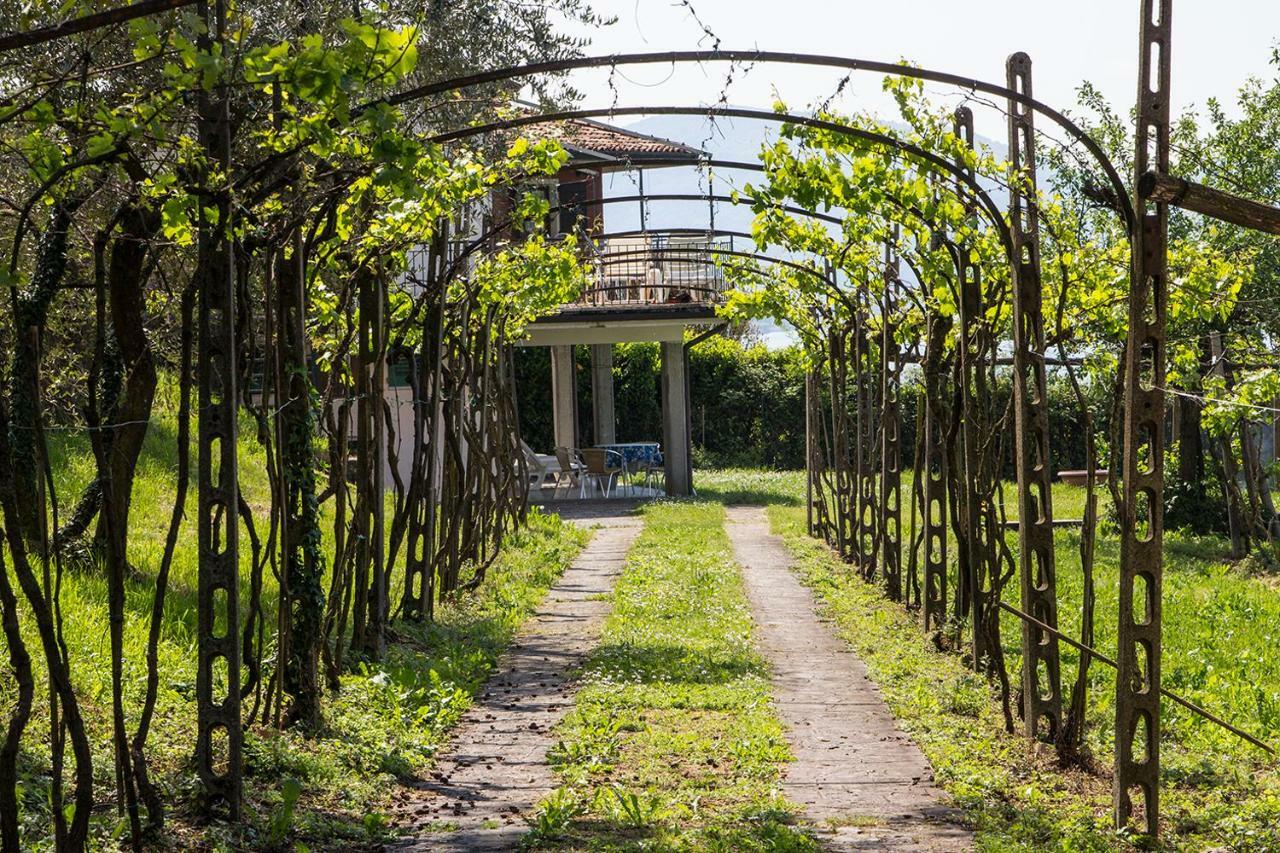 Villa Florida App Pelikan oben und App Sandpiper unten Pilzone Exteriör bild
